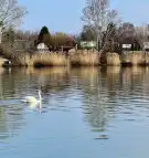 Pest megye - Szigethalom